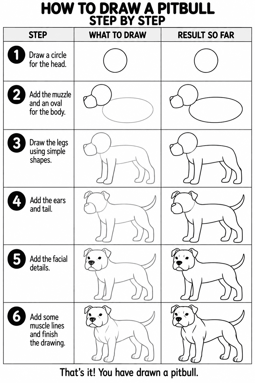 Pitbull drawing tutorial